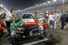 WTCC 2015: Qatar Starting Grid