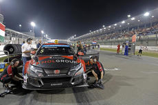 WTCC 2015: Qatar Starting Grid