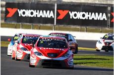 The experienced Tarquini, will make it hard for Chevrolet