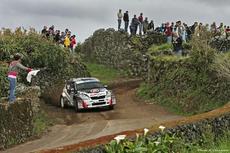 ERC Acores 2013 Wallenstein