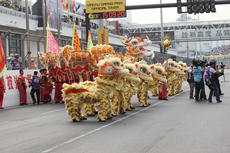 Formula 3 Macau Grand Prix 2013 - Starting Grid