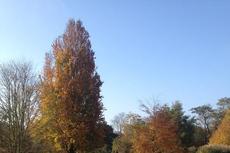 Düsseldorf Botanic Gardens