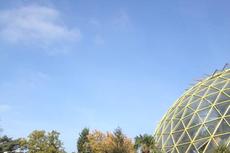 Düsseldorf Botanic Gardens