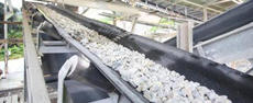 Image of the conveyor belt