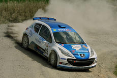 Alessandro Bettega car