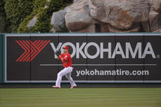 YOKOHAMA Angels Sponsorship