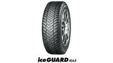 iceGUARD iG65