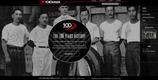 Yokohama Rubber 100th Anniversary Micro-site pic 1