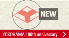 Yokohama Europe 100th anniversary micro-site