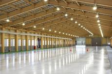 Ice track of interior