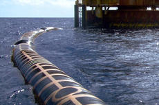 Seaflex hose transporting crude oil