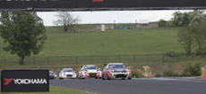 Excitement at the Hungaroring with WTCR and YOKOHAMA Photo Gregory Lenormand DPPI