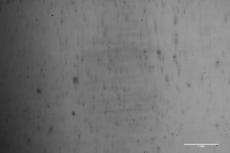 Image of contact area taken by specialized testing machine (Rubber w/o water-absorbing agent)