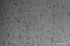 Image of contact area taken by specialized testing machine (Rubber with water-absorbing agent)